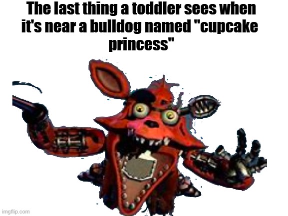 Blank White Template | The last thing a toddler sees when
it's near a bulldog named "cupcake 
princess" | image tagged in blank white template,fnaf,foxy,toddler,bulldog,funny | made w/ Imgflip meme maker