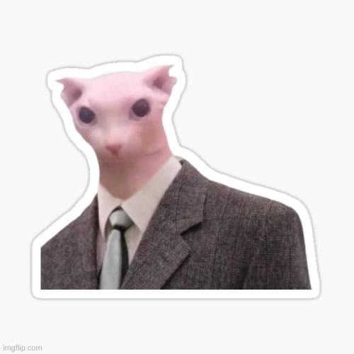 Bingus | image tagged in bingus | made w/ Imgflip meme maker