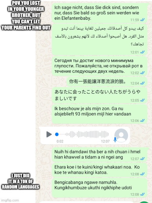 not joking. I actually did this. I don't know why | POV YOU LOST IN YOUR YOUNGER BROTHER, BUT YOU CAN'T LET YOUR PARENTS FIND OUT; I JUST DID IT IN A TON OF RANDOM LANGUAGES | image tagged in roast | made w/ Imgflip meme maker