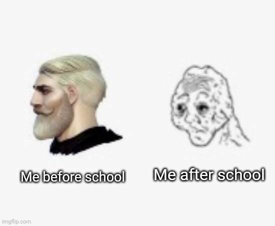 Before vs afrer | Me after school; Me before school | image tagged in before vs afrer | made w/ Imgflip meme maker