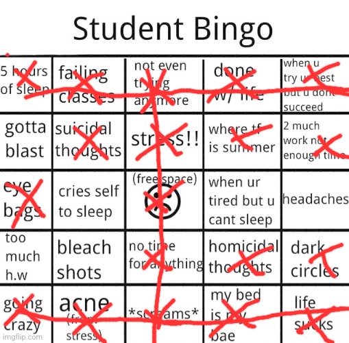 This is an update of my previous bingo board. Yeah, sh1ts really hitting the fan now. | image tagged in student bingo | made w/ Imgflip meme maker