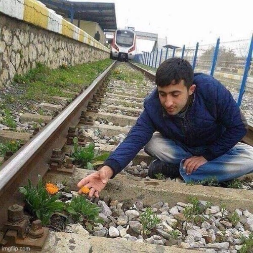 Flower Train Man | image tagged in flower train man | made w/ Imgflip meme maker