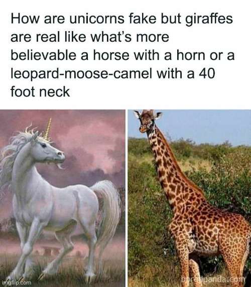 Fun fact! The unicorn is Scotlands national animal | image tagged in memez,unicorn,giraffe | made w/ Imgflip meme maker