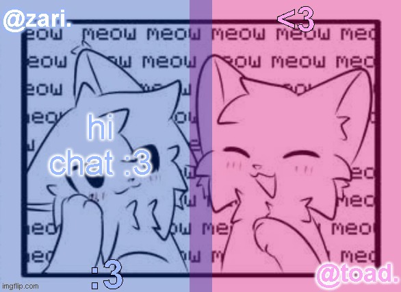 zari and toad's shared temp <3 | hi chat :3 | image tagged in zari and toad's shared temp 3 | made w/ Imgflip meme maker