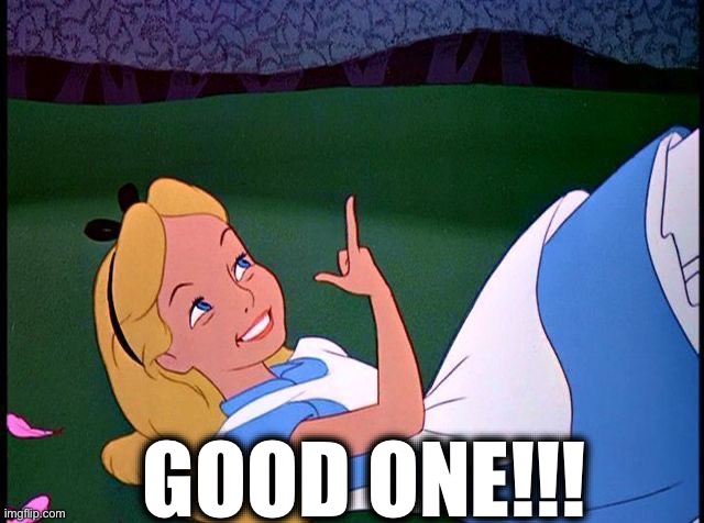 Alice in Wonderland | GOOD ONE!!! | image tagged in alice in wonderland | made w/ Imgflip meme maker