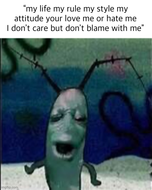 Plankton gets served | “my life my rule my style my attitude your love me or hate me I don’t care but don’t blame with me” | image tagged in plankton gets served,indian,my life my rule,plankton | made w/ Imgflip meme maker