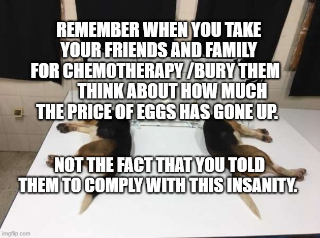 Anthony Fauci Loves Dogs and People | REMEMBER WHEN YOU TAKE YOUR FRIENDS AND FAMILY FOR CHEMOTHERAPY /BURY THEM           THINK ABOUT HOW MUCH THE PRICE OF EGGS HAS GONE UP. NOT THE FACT THAT YOU TOLD THEM TO COMPLY WITH THIS INSANITY. | image tagged in anthony fauci loves dogs and people | made w/ Imgflip meme maker