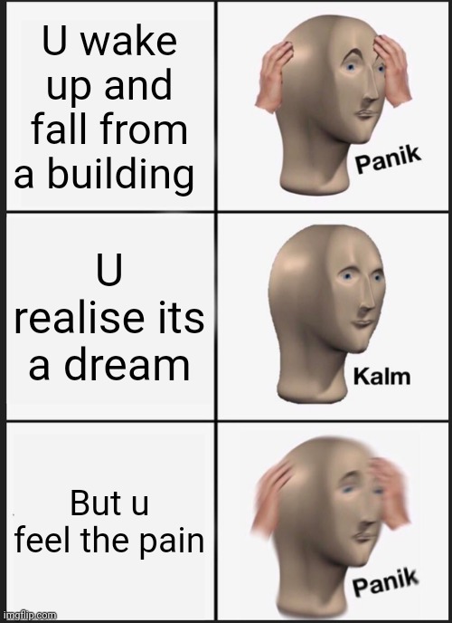 Im F***** | U wake up and fall from a building; U realise its a dream; But u feel the pain | image tagged in memes,panik kalm panik | made w/ Imgflip meme maker