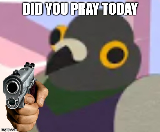 pigeon | DID YOU PRAY TODAY | image tagged in pigeon | made w/ Imgflip meme maker