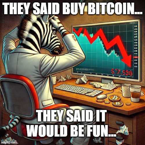 NTC down | THEY SAID BUY BITCOIN... THEY SAID IT WOULD BE FUN... | image tagged in funny,fun | made w/ Imgflip meme maker