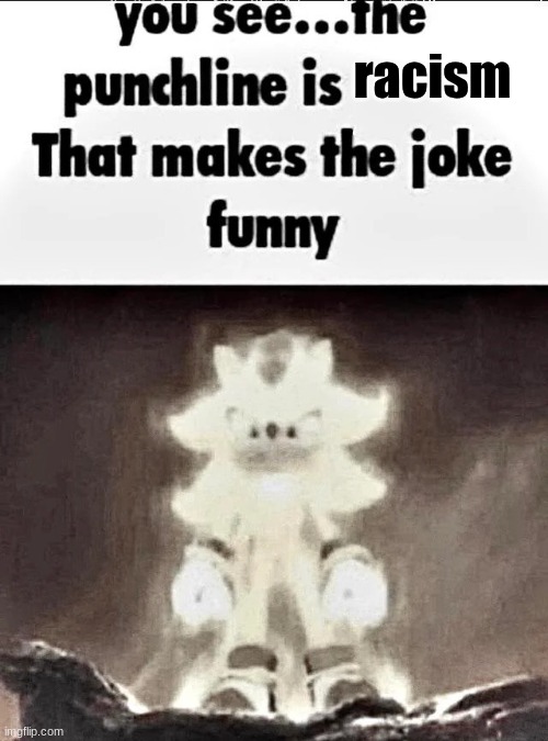 Shadow explains the joke | racism | image tagged in shadow explains the joke | made w/ Imgflip meme maker