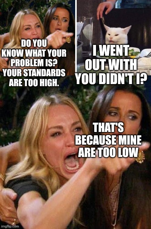 I WENT OUT WITH YOU DIDN'T I? DO YOU KNOW WHAT YOUR PROBLEM IS? YOUR STANDARDS ARE TOO HIGH. THAT'S BECAUSE MINE ARE TOO LOW | image tagged in smudge that darn cat with karen | made w/ Imgflip meme maker