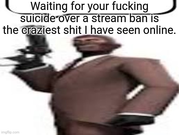 My brother in Christ, just do something more productive | Waiting for your fucking suicide over a stream ban is the craziest shit I have seen online. | image tagged in tf2 spy,msmg,memes | made w/ Imgflip meme maker