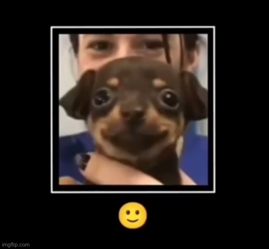 . | made w/ Imgflip meme maker