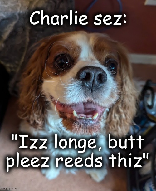 Charlie sez "pleez reeds" | Charlie sez:; "Izz longe, butt pleez reeds thiz" | image tagged in charlie sez,pleez reeds | made w/ Imgflip meme maker