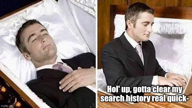 Can I be a moderator? :) | Hol' up, gotta clear my search history real quick- | image tagged in deceased man in coffin typing,fresh memes,it came from the comments | made w/ Imgflip meme maker