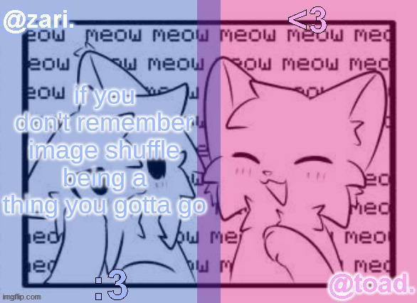 zari and toad's shared temp <3 | if you don't remember image shuffle being a thing you gotta go | image tagged in zari and toad's shared temp 3 | made w/ Imgflip meme maker