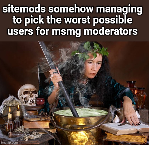 spell casting witch | sitemods somehow managing to pick the worst possible users for msmg moderators | image tagged in spell casting witch | made w/ Imgflip meme maker