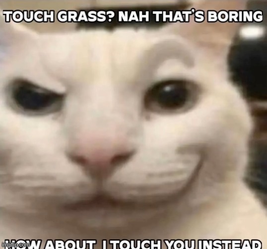 Touch grass? nah that's boring how about I touch you instead | image tagged in touch grass nah that's boring how about i touch you instead | made w/ Imgflip meme maker