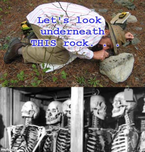 Let's look 
underneath
 THIS rock. . . | image tagged in looking under rocks,skeletons in closet | made w/ Imgflip meme maker