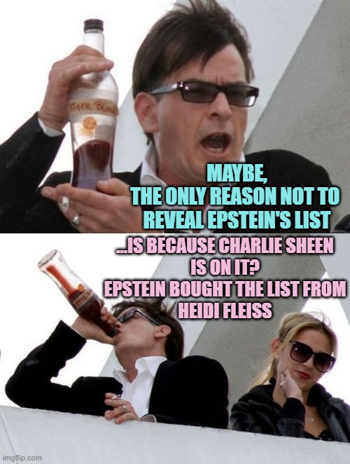 Charlie Sheen none of your business | MAYBE,
THE ONLY REASON NOT TO 
REVEAL EPSTEIN'S LIST ...IS BECAUSE CHARLIE SHEEN
IS ON IT?
EPSTEIN BOUGHT THE LIST FROM
HEIDI FLEISS | image tagged in charlie sheen none of your business | made w/ Imgflip meme maker