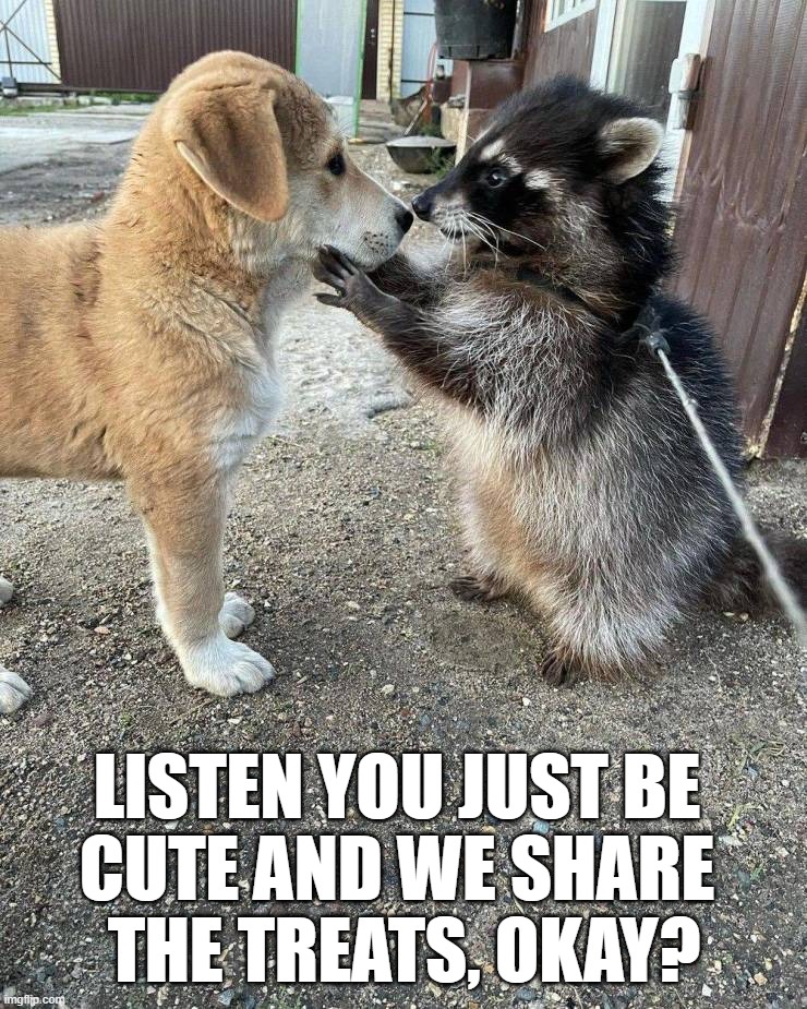 LISTEN YOU JUST BE 
CUTE AND WE SHARE 
THE TREATS, OKAY? | image tagged in wholesome | made w/ Imgflip meme maker