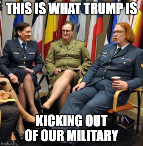 Trump: Not in My Military | THIS IS WHAT TRUMP IS; KICKING OUT OF OUR MILITARY | image tagged in trump not in my military | made w/ Imgflip meme maker