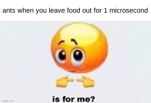 Is for me | ants when you leave food out for 1 microsecond | image tagged in is for me | made w/ Imgflip meme maker