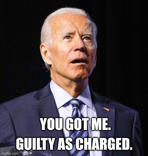 Joe Biden | YOU GOT ME. GUILTY AS CHARGED. | image tagged in joe biden | made w/ Imgflip meme maker