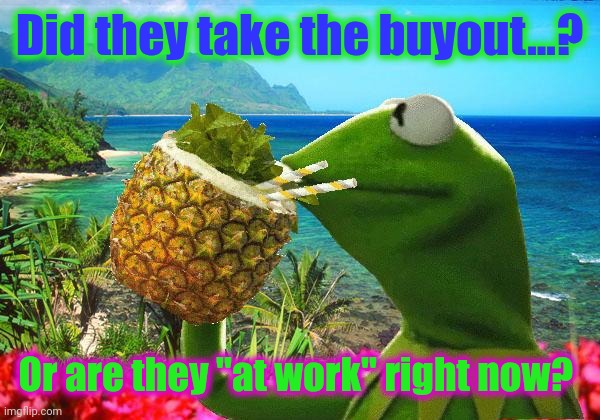 vacation kermit | Did they take the buyout...? Or are they "at work" right now? | image tagged in vacation kermit | made w/ Imgflip meme maker