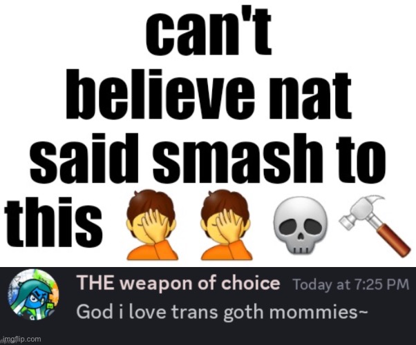 image tagged in can't believe nat said smash to this | made w/ Imgflip meme maker