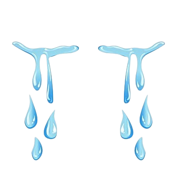 Tears Blank Meme Template
