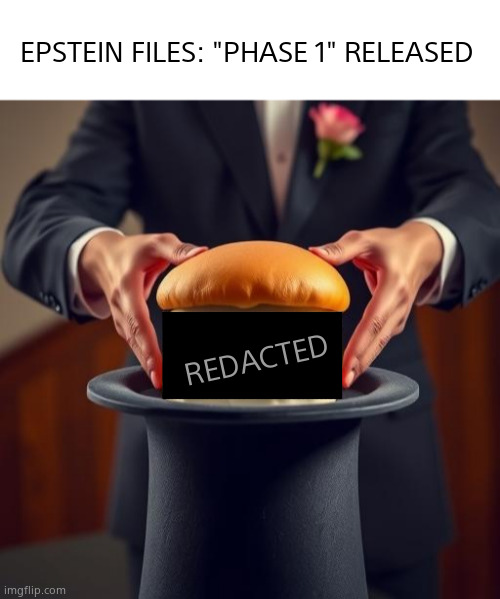 As expected. | EPSTEIN FILES: "PHASE 1" RELEASED; REDACTED | image tagged in memes,jeffrey epstein,tier list,redacted,nothing burger,political meme | made w/ Imgflip meme maker