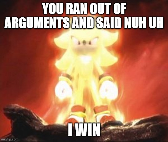 YOU RAN OUT OF ARGUMENTS AND SAID NUH UH I WIN | image tagged in super shadow | made w/ Imgflip meme maker