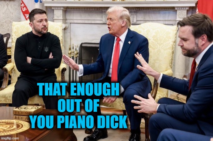 Quiet down douchebag | THAT ENOUGH OUT OF YOU PIANO DICK | image tagged in quiet down douchebag,trump,vance,zelensky | made w/ Imgflip meme maker