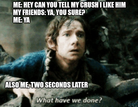 We have all done this | ME: HEY CAN YOU TELL MY CRUSH I LIKE HIM
MY FRIENDS: YA, YOU SURE?                                  
ME: YA; ALSO ME, TWO SECONDS LATER | image tagged in crush,friends,what have we done,memes | made w/ Imgflip meme maker