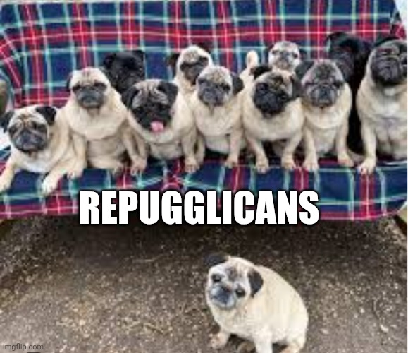 Republicans | REPUGGLICANS | image tagged in republicans | made w/ Imgflip meme maker