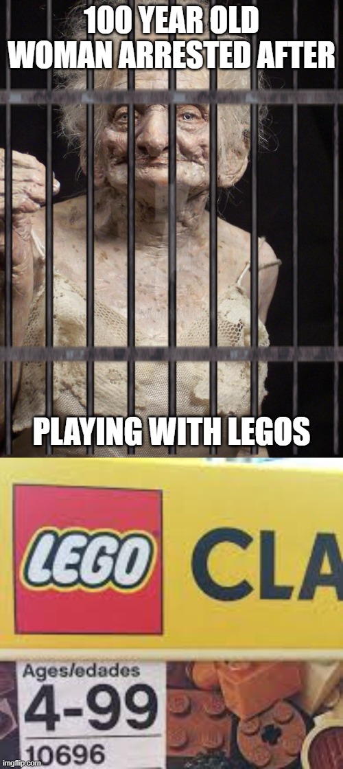 100 YEAR OLD WOMAN ARRESTED AFTER; PLAYING WITH LEGOS | image tagged in old woman,lego age range | made w/ Imgflip meme maker