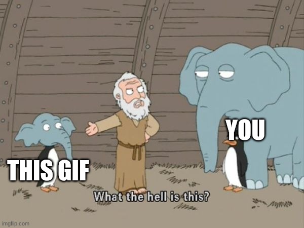 What the hell is this? | THIS GIF YOU | image tagged in what the hell is this | made w/ Imgflip meme maker