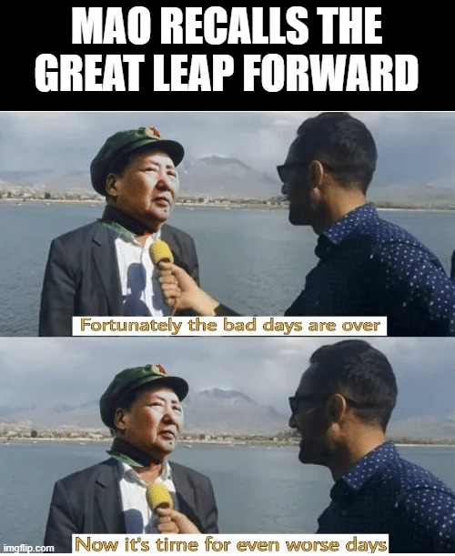 Great Leap Forward | MAO RECALLS THE GREAT LEAP FORWARD | image tagged in history,mao zedong | made w/ Imgflip meme maker