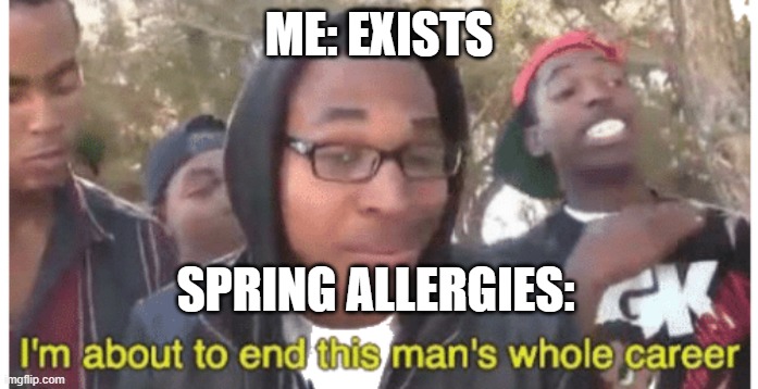 Allergies | ME: EXISTS; SPRING ALLERGIES: | image tagged in i'm gonna end this man's whole career | made w/ Imgflip meme maker