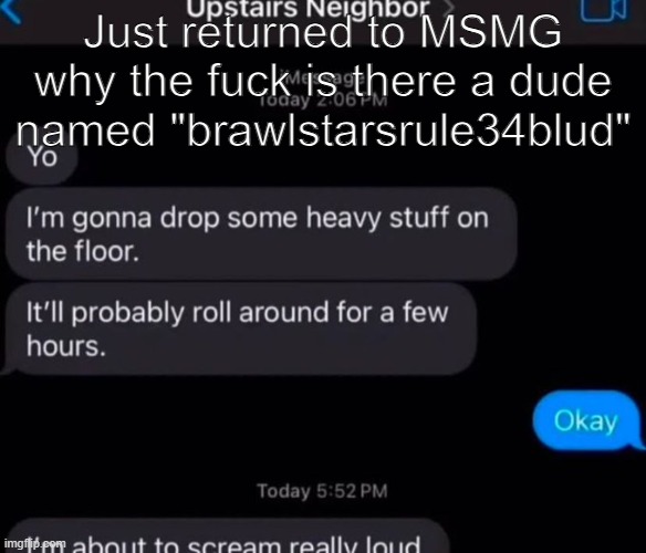 Just returned to MSMG why the fuck is there a dude named "brawlstarsrule34blud" | made w/ Imgflip meme maker