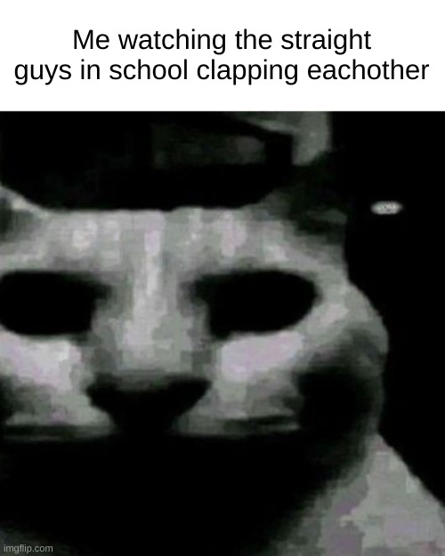 for legal reasons this is exaggerated | Me watching the straight guys in school clapping eachother | image tagged in uncanny cat | made w/ Imgflip meme maker