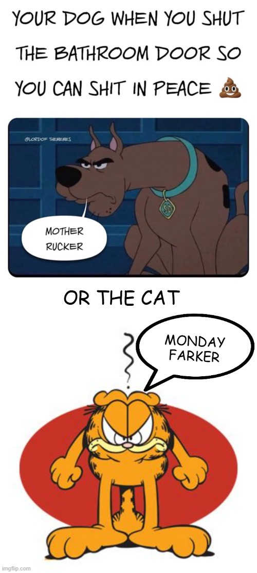 Shut pet out of toilet | OR THE CAT; MONDAY
FARKER | image tagged in garfield,scooby doo,dog,cat,toilet | made w/ Imgflip meme maker