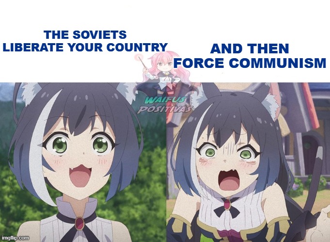 Momochi Feels | THE SOVIETS LIBERATE YOUR COUNTRY; AND THEN FORCE COMMUNISM | image tagged in momochi feels | made w/ Imgflip meme maker