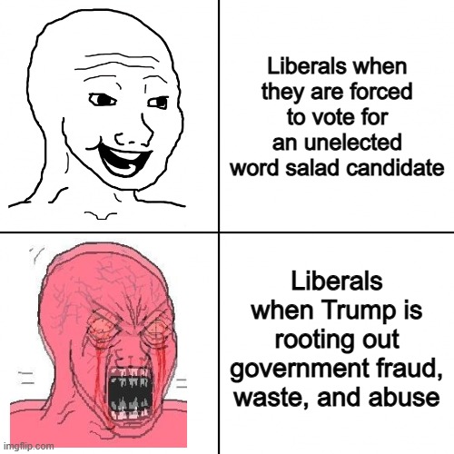 Welcome to the Gulf of America | Liberals when they are forced to vote for an unelected word salad candidate; Liberals when Trump is rooting out government fraud, waste, and abuse | image tagged in happy vs angry wojak,liberal logic,trump,fraud,waste,abuse | made w/ Imgflip meme maker