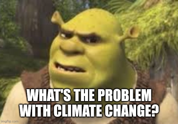 Confused shrek | WHAT'S THE PROBLEM WITH CLIMATE CHANGE? | image tagged in confused shrek | made w/ Imgflip meme maker