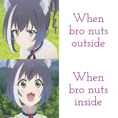 Made animevac's meme funnier | When bro nuts outside; When bro nuts inside | image tagged in kyaru drake hotline bling | made w/ Imgflip meme maker