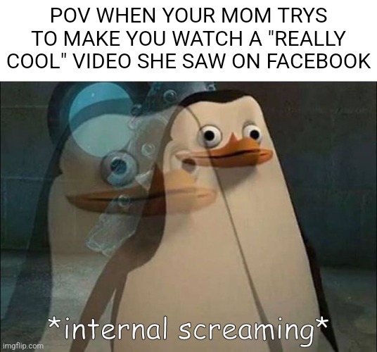 Private Internal Screaming | POV WHEN YOUR MOM TRYS TO MAKE YOU WATCH A "REALLY COOL" VIDEO SHE SAW ON FACEBOOK | image tagged in private internal screaming,memes,funny,facebook,moms,for real | made w/ Imgflip meme maker