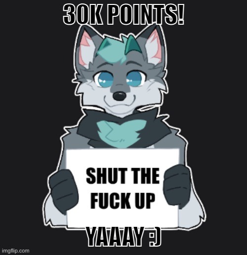 STFU | 30K POINTS! YAAAY :) | image tagged in stfu | made w/ Imgflip meme maker